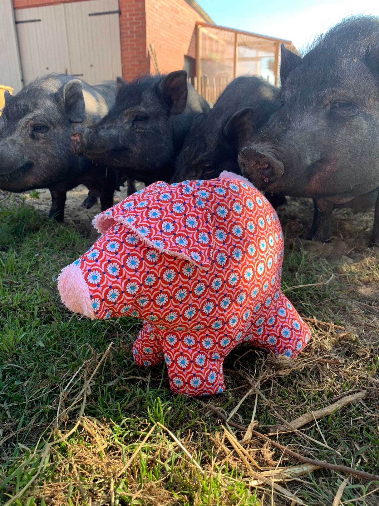 schweinchen-schnittmuster-wollmilchsau-peggy