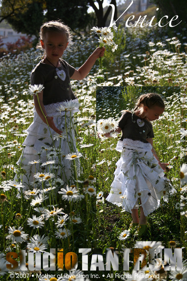 Daisies_1_sm