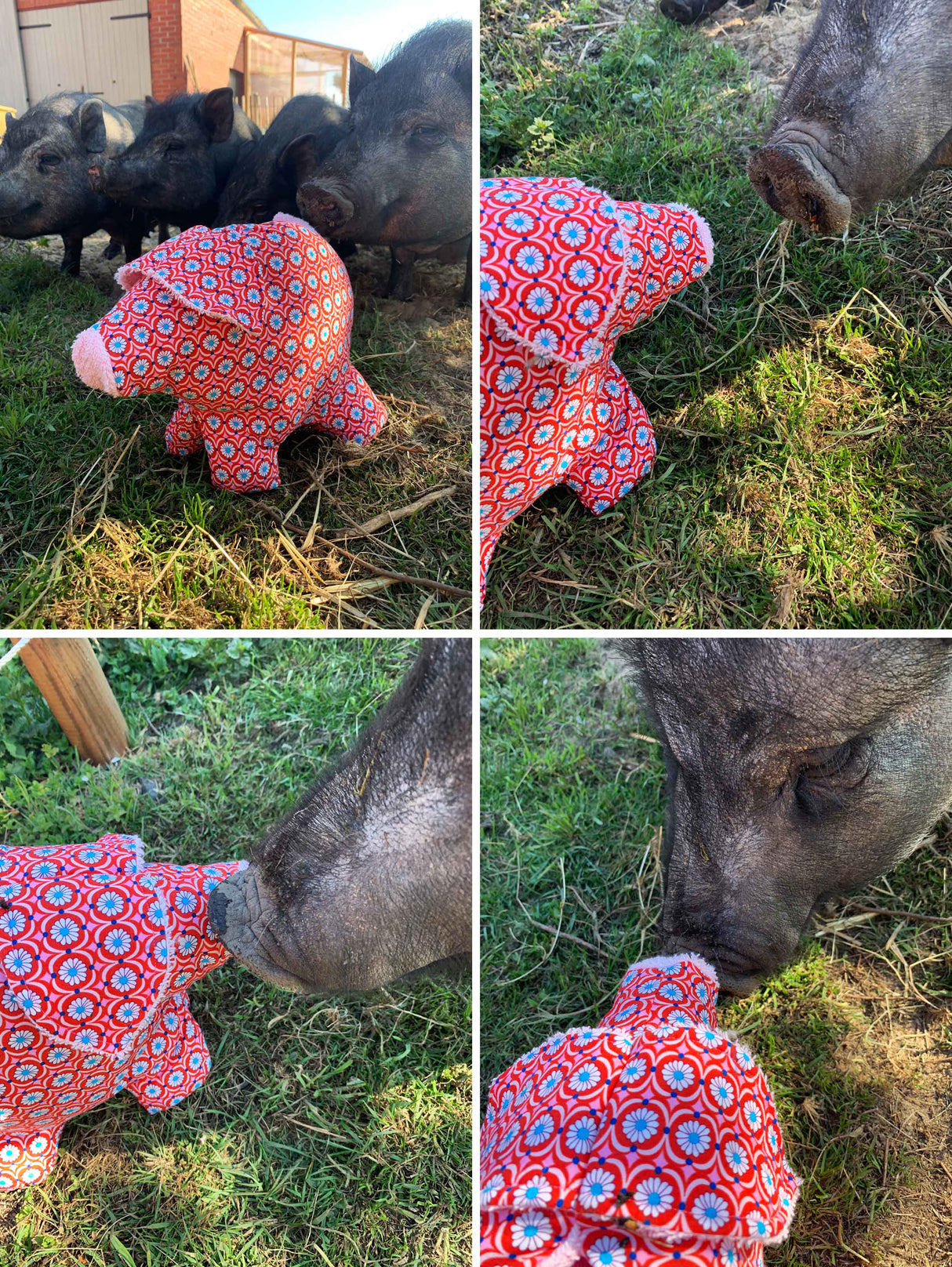 ebook-schweinchen-schnittmuster-wollmilchsau-peggy