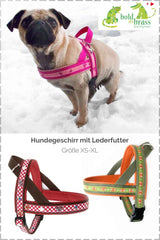 hundegeschirr-anleitungvGvzRKUlLPKgp