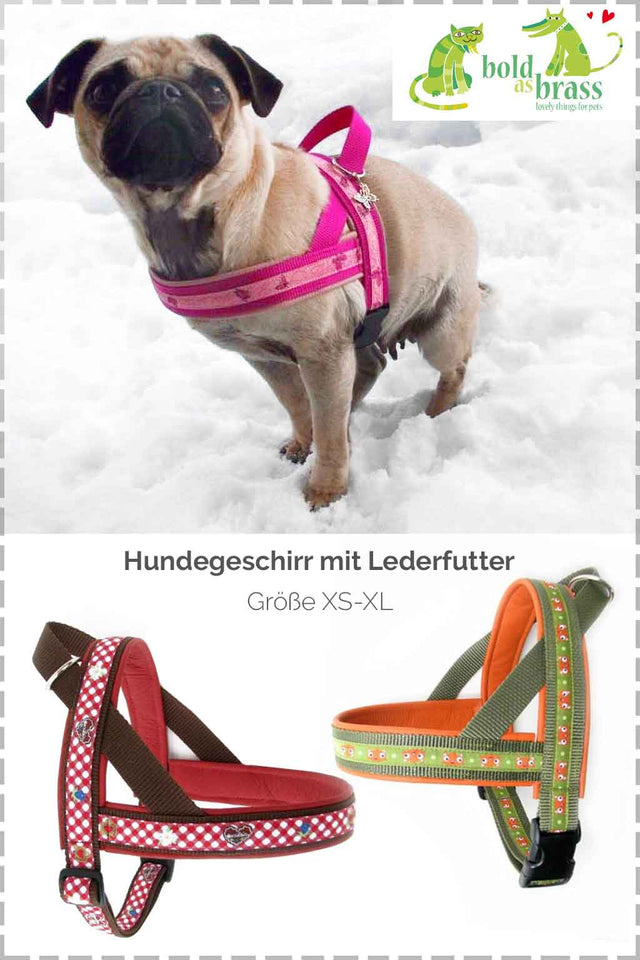 hundegeschirr-anleitungvGvzRKUlLPKgp