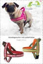 hundegeschirr-anleitungvGvzRKUlLPKgp