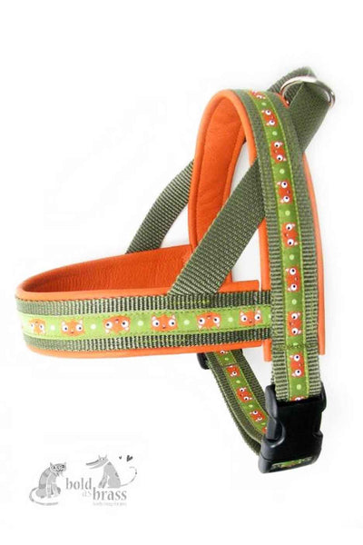 hundegeschirr-diy-boldasbrass