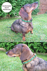 hundhalsband-diy-anleitung